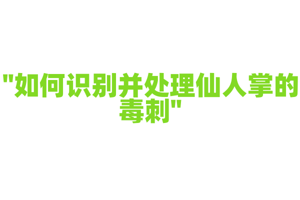 "如何识别并处理仙人掌的毒刺"